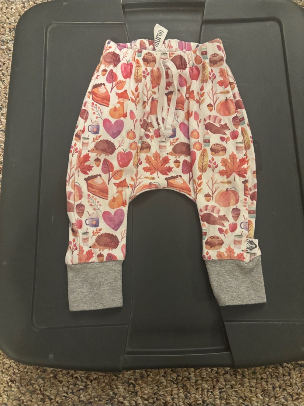 Kids Fall-Print Jogger Pants with Gray Cuffs